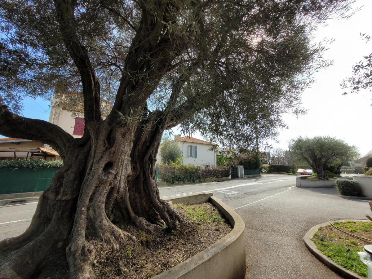 Villa La Desiree - Haut De Villa, 68M2, 8 Personnes Max, Climatise, 4 Etoiles, 120M2 De Jardin Et Parking, Wifi, Vu Mer Antibes Exteriör bild